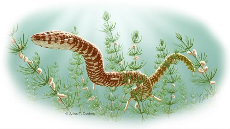 Parviraptor estesi, Kretas döneminde yaşadı. [Fotoğraf: Julius Csotonyi]