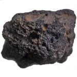lavkaya1