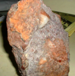tas9