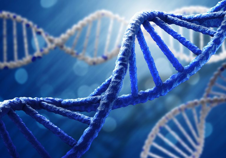 Bilim İnsanları, İlk Kez İnsan X Kromozomunun Tümünü Dizmeyi Başardı
